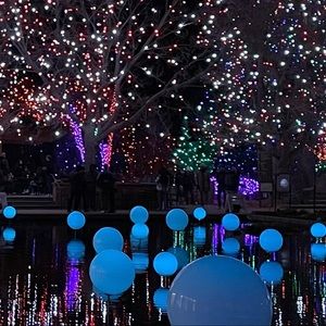 Meet your Posher, Sylvia